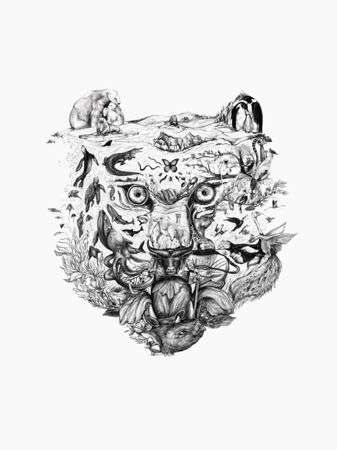 The eye belongs to the tiger
