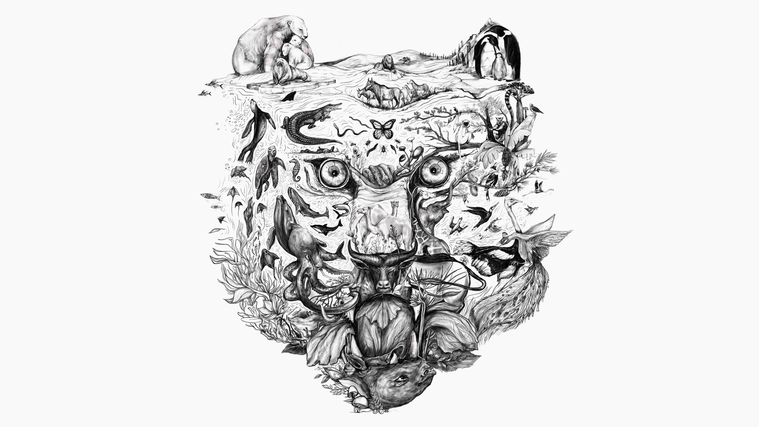 EYE OF THE TIGER